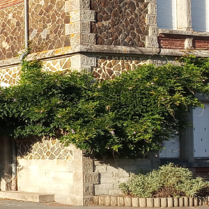 bannière